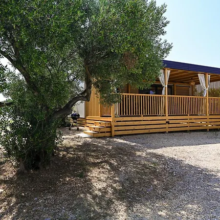 营地 Kamp Oaza Lucica